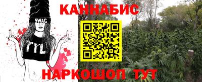 ГАЛЛЮЦИНОГЕННЫЕ ГРИБЫ Камышлов